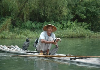 cormorant fisherman at the Yulonghe scenic area, near Yangshuo, China