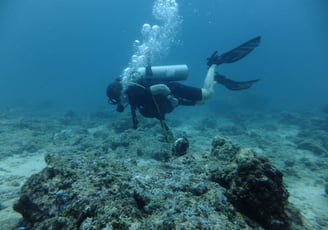 Diving on Havelock and Neil Islands, Andaman and Nicobar Islands