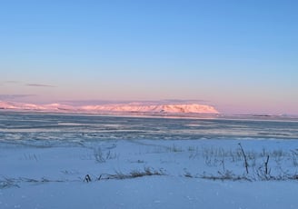 Olfusa river estuary, Iceland