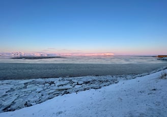 Olfusa river estuary, Iceland