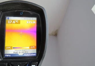 Pelėsio Tyrimas: Diagnostika ir Priežasčių nustatymas
