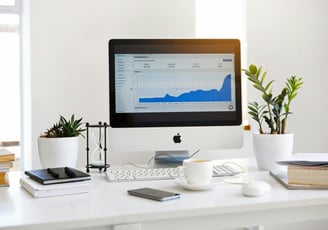 a computer displaying a data of charts
