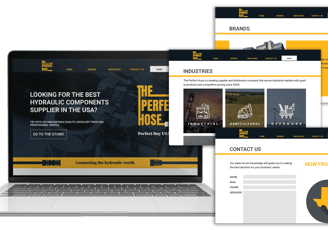 diseño web profesional creación de páginas web desarrollo de sitios web diseño de tiendas online pág