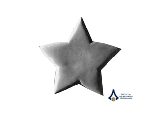 Decoração jardim estrela
