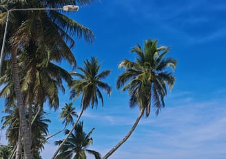 Thung Wua Laen, Chumphon