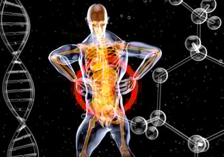 columbia low back pain chiropractor