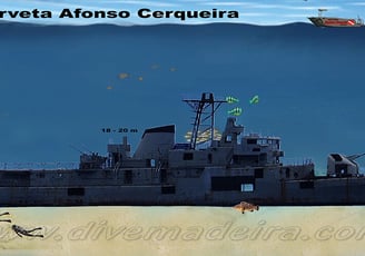 F488 Afonso Cerqueira Wreck, Madeira
