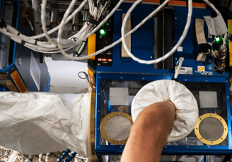 Rodent Habitat Enclosure on the ISS