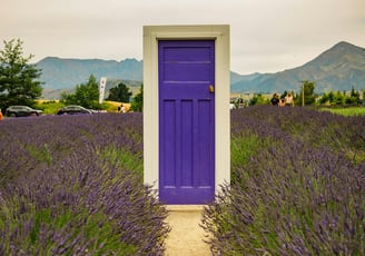 Lavender fields in Valensole, Provence – private tour from Marseille Airport