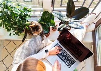 a woman working at the laptop with a cat, she is working on a translation in a cosy atmosphere