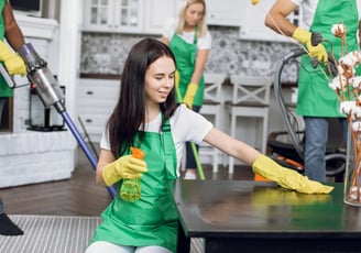 professional cleaning services at work