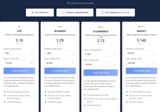 Labrika Payment Plan