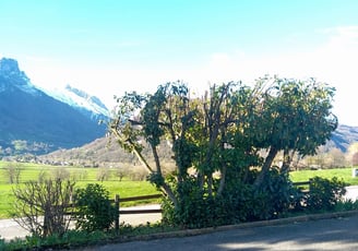 Élagage et taille d’arbustes en cours, avec vue sur montagne