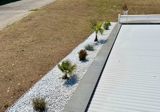 Aménagement paysager autour d'une piscine avec graviers blancs et palmiers.