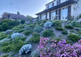 Végétalisation d’un talus avec plantation d’arbustes et de fleurs