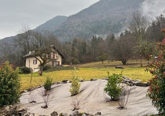  Plantation et préparation du sol pour un nouvel aménagement paysager