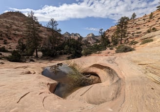 Zion 