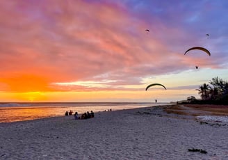 Plusieurs parapentistes atterrissent sur la plage et volent au dessus de l'océan