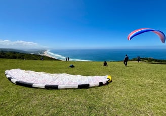 Des parapentistes vont décoller face à la mer