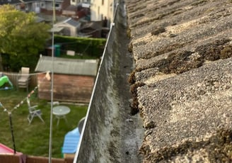 gutter cleaning Fife residential property