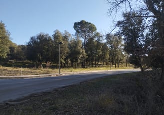 Terreno en venta en El Brull 2000 m2