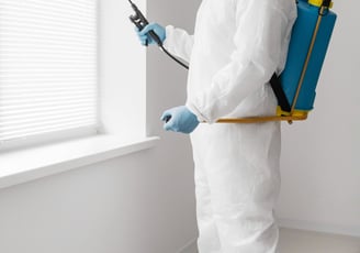 mold-removal-provo-ut