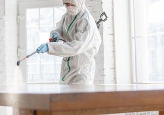 mold-removal-provo-ut-city