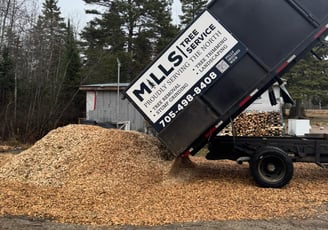 Mills tree service wood chipping services