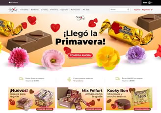 Sitio web Felfort