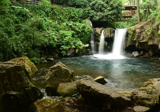 Tour parque nacional de Uruapan