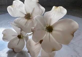 Sugar Flowers For Cakes