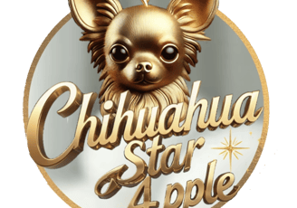 filhote de chihuahua