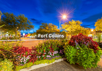 Fort Collins Colorado community withn beautiful shrubs and homes