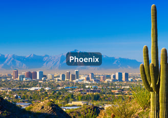 A vibrant desert with the Phoenix Arizona skyline and mountains