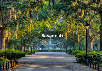 Scenic trees and fountain in Savannah Georgia