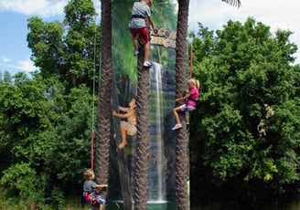 Coconut tree rock climbing wall. This rockwall style Coconut Tree Climb is a unique.