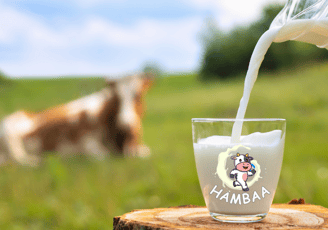 Hambaa Milk-Fresh from Farmers