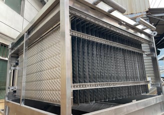 Plate Ice Plant