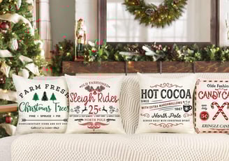 Christmas pillow covers