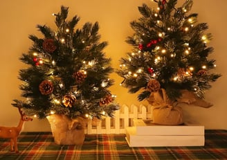 mini trees