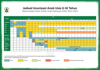 Jadwal imunisasi anak tahun 2024 dari IDAI, berisi panduan usia pemberian vaksin