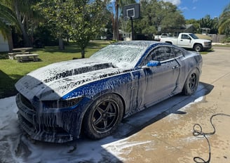 Mustang Covered In Soap After Being Washed