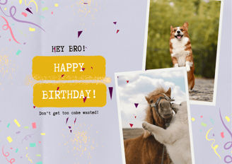 a dog and a horse are shown in this happy birthday card