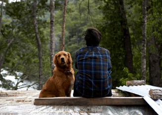 dogAdvisor | dog Advisor | dog advisor | dogadvisor | dogadvisor.dog | dog advisor