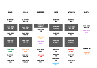 Planning crossfit provins les remparts coaching sport remise en forme perte de poids