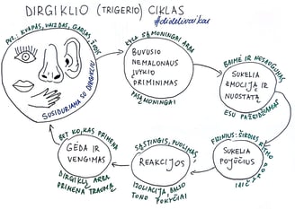 Dirgiklio ciklas dideli vaikai schema