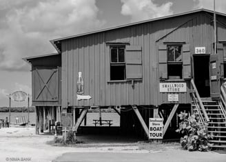 a bait and tackle general store in black and white in everglades city florida