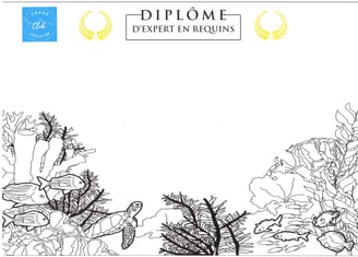 diplôme expert requins Shark Education Club
