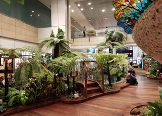 Inside Changi Airport in Singapore