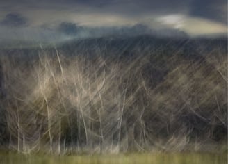 Dreamlike abstract photograph of slender trees layered over a moody mountain landscape, created with camera motion